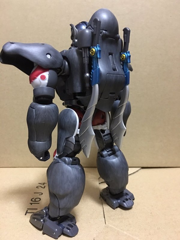 MP 32 Masterpiece Optimus Primal   In Hand Photos Surface On Twitter  (26 of 81)